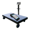 Picture of Smart Scale